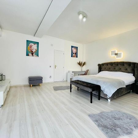 Panoramic Studio Appartamento Cluj-Napoca Esterno foto
