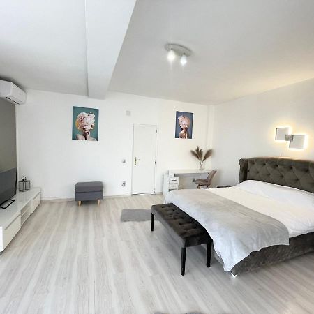 Panoramic Studio Appartamento Cluj-Napoca Esterno foto
