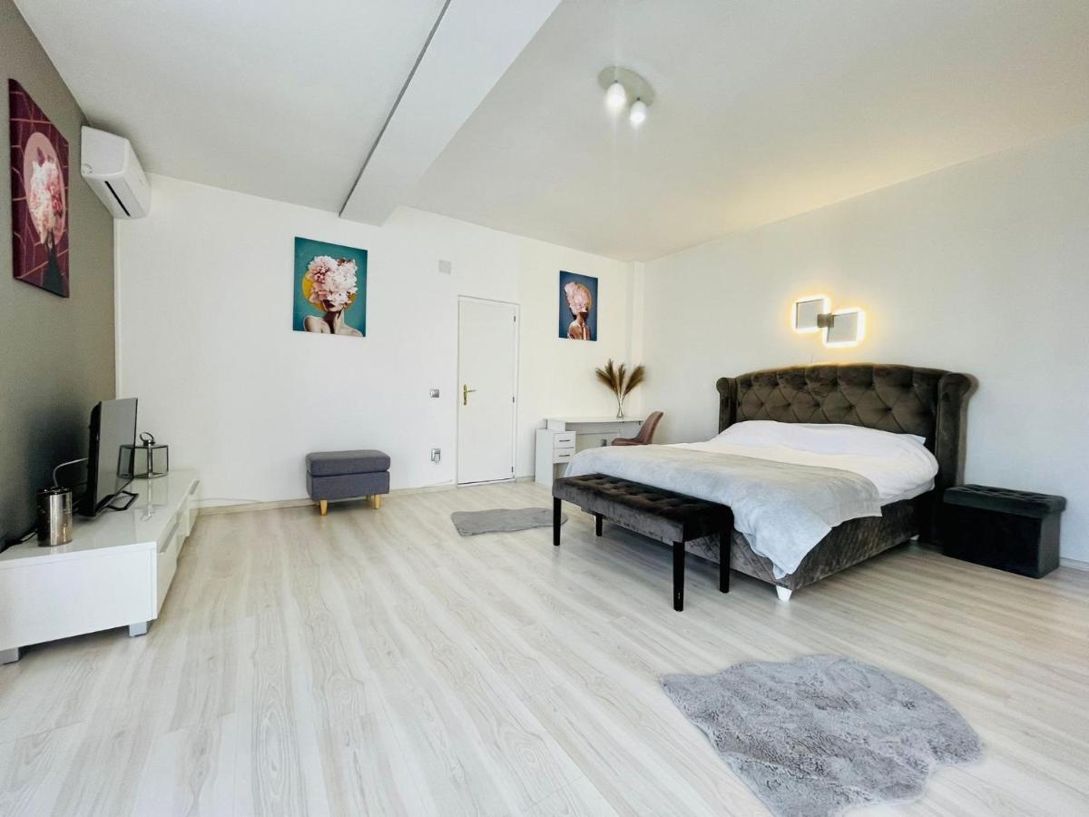 Panoramic Studio Appartamento Cluj-Napoca Esterno foto