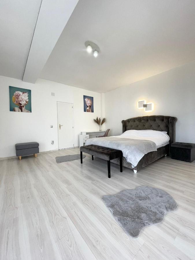 Panoramic Studio Appartamento Cluj-Napoca Esterno foto