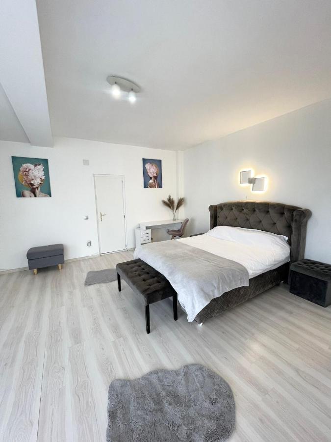 Panoramic Studio Appartamento Cluj-Napoca Esterno foto